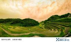 唐津市限界町　浜野浦の棚田
